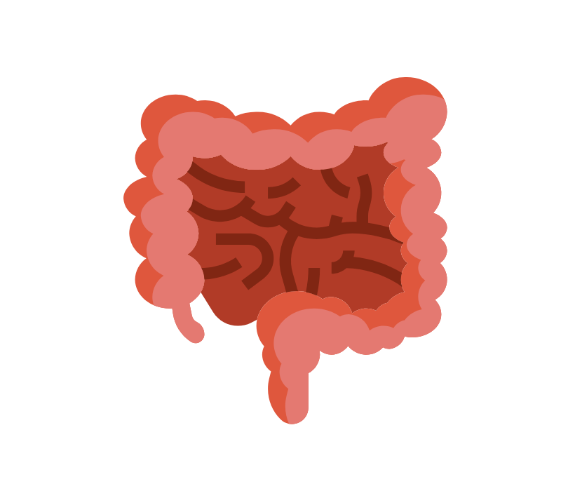 Intestine Problem